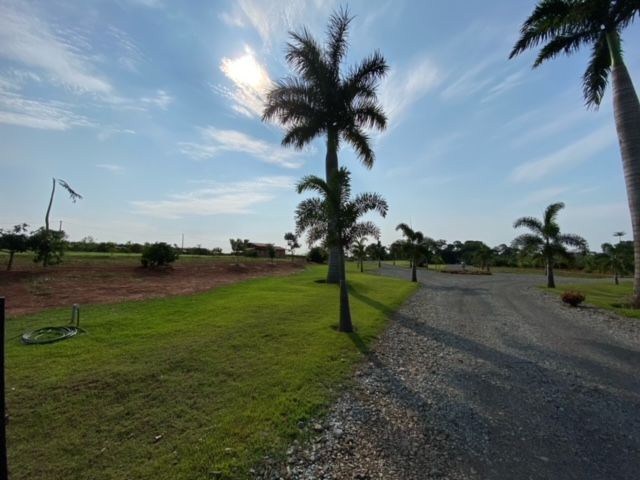 Sítio, 2 quartos, 7 hectares - Foto 4