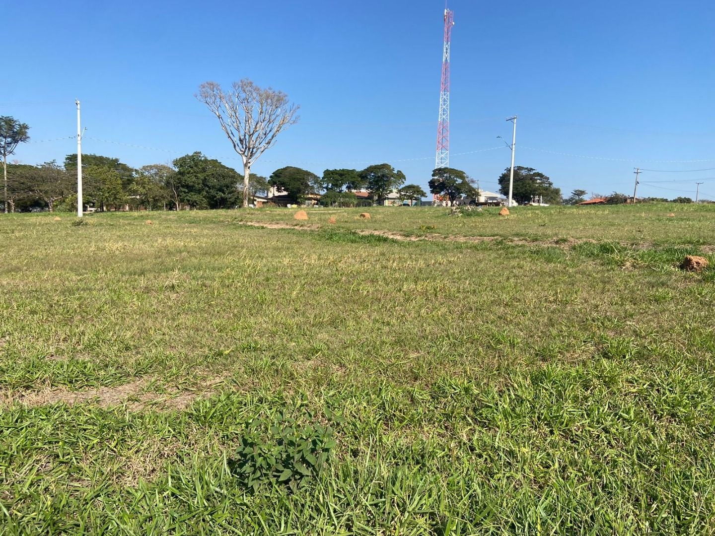 Terreno, 2 hectares - Foto 5