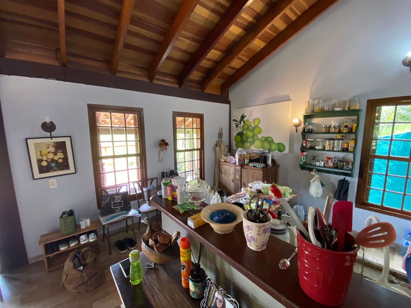 Sítio, 5 quartos, 5000 m² - Foto 53