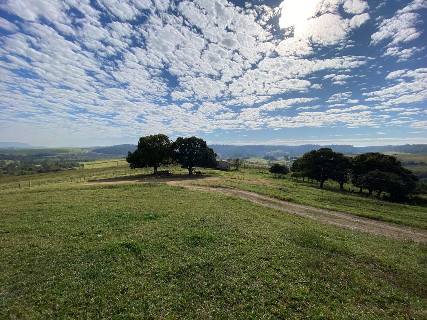 Fazenda, 404 hectares - Foto 9