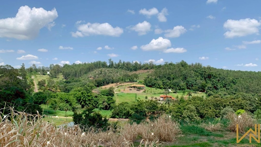 Terreno, 2 hectares - Foto 9