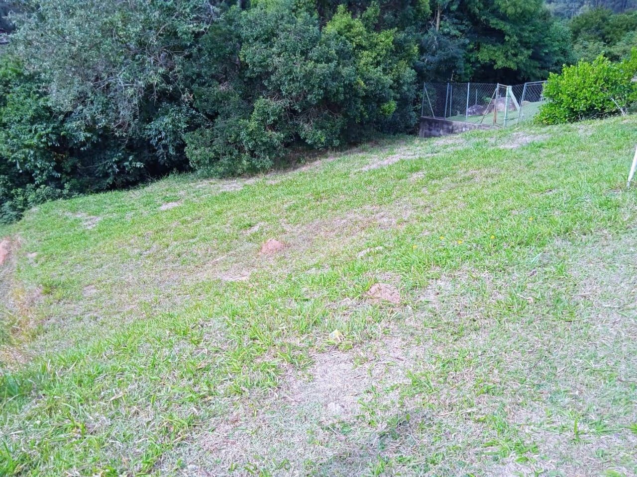 Terreno, 1736 m² - Foto 7