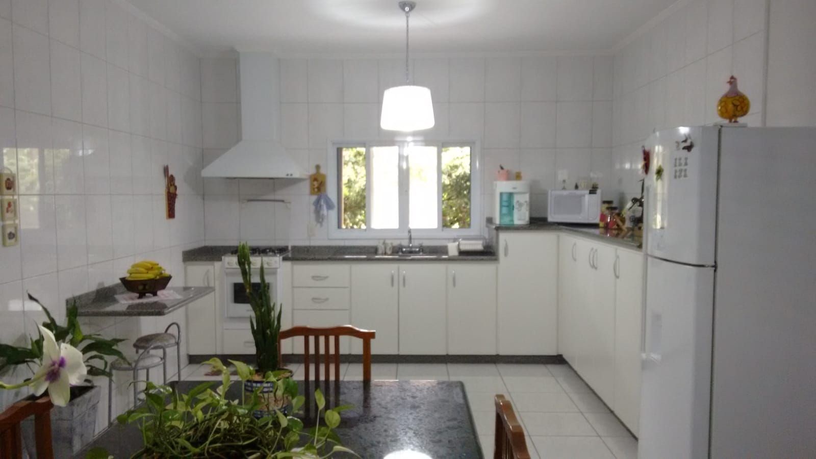 Sítio, 3 quartos, 5090 m² - Foto 22
