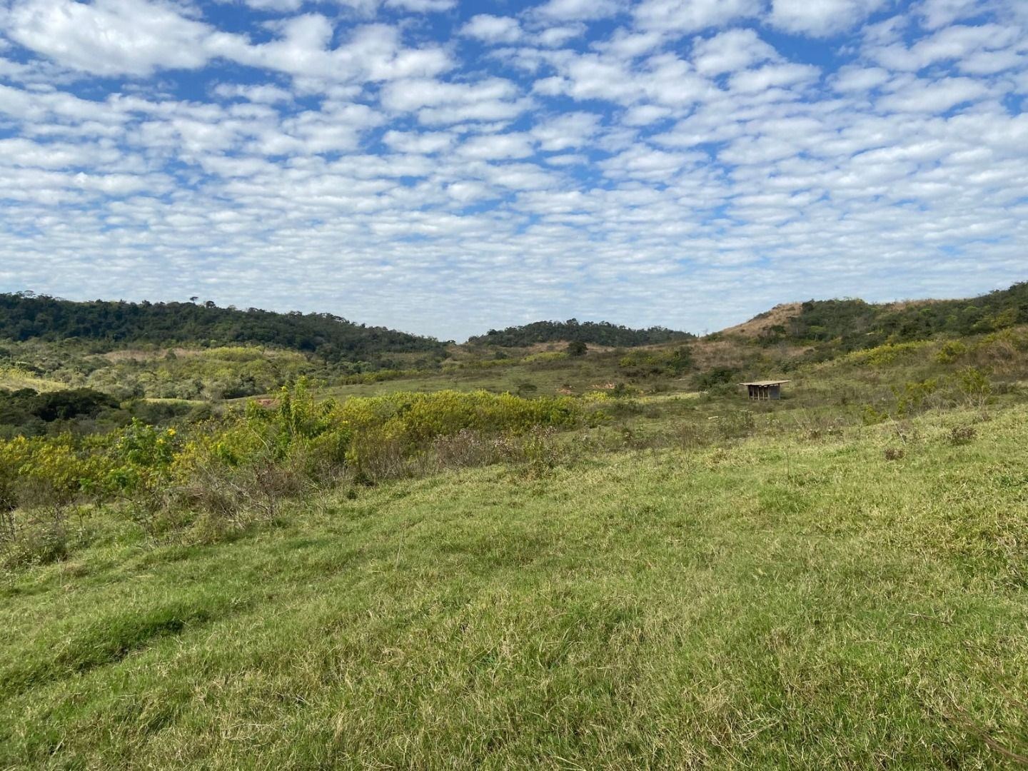 Fazenda, 404 hectares - Foto 23