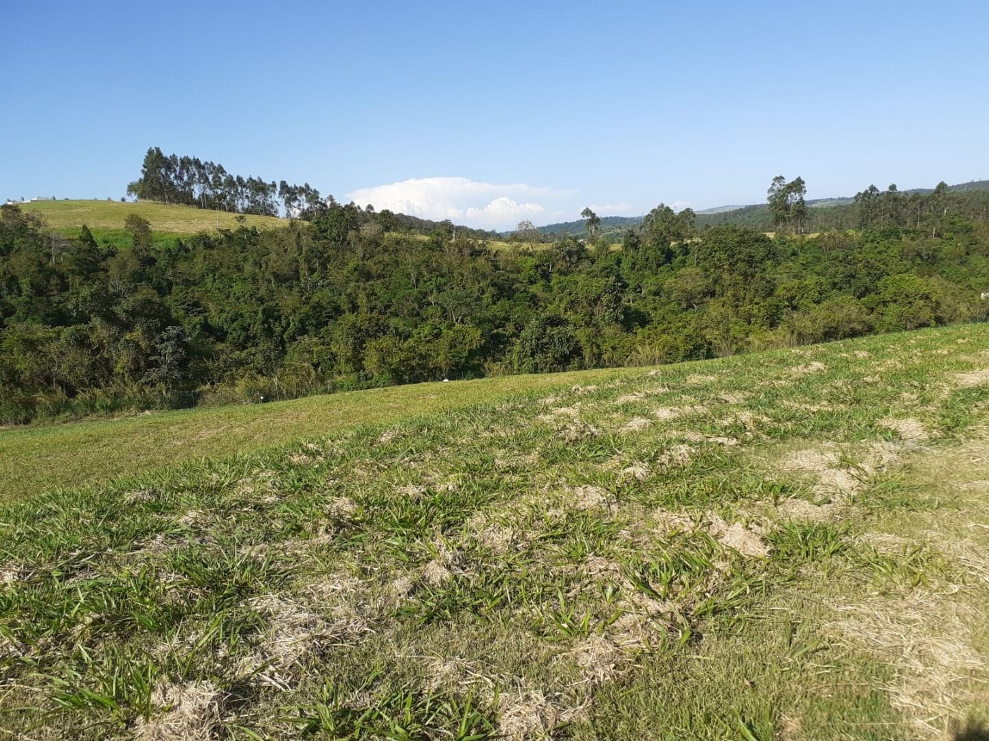 Terreno, 1 hectares - Foto 11