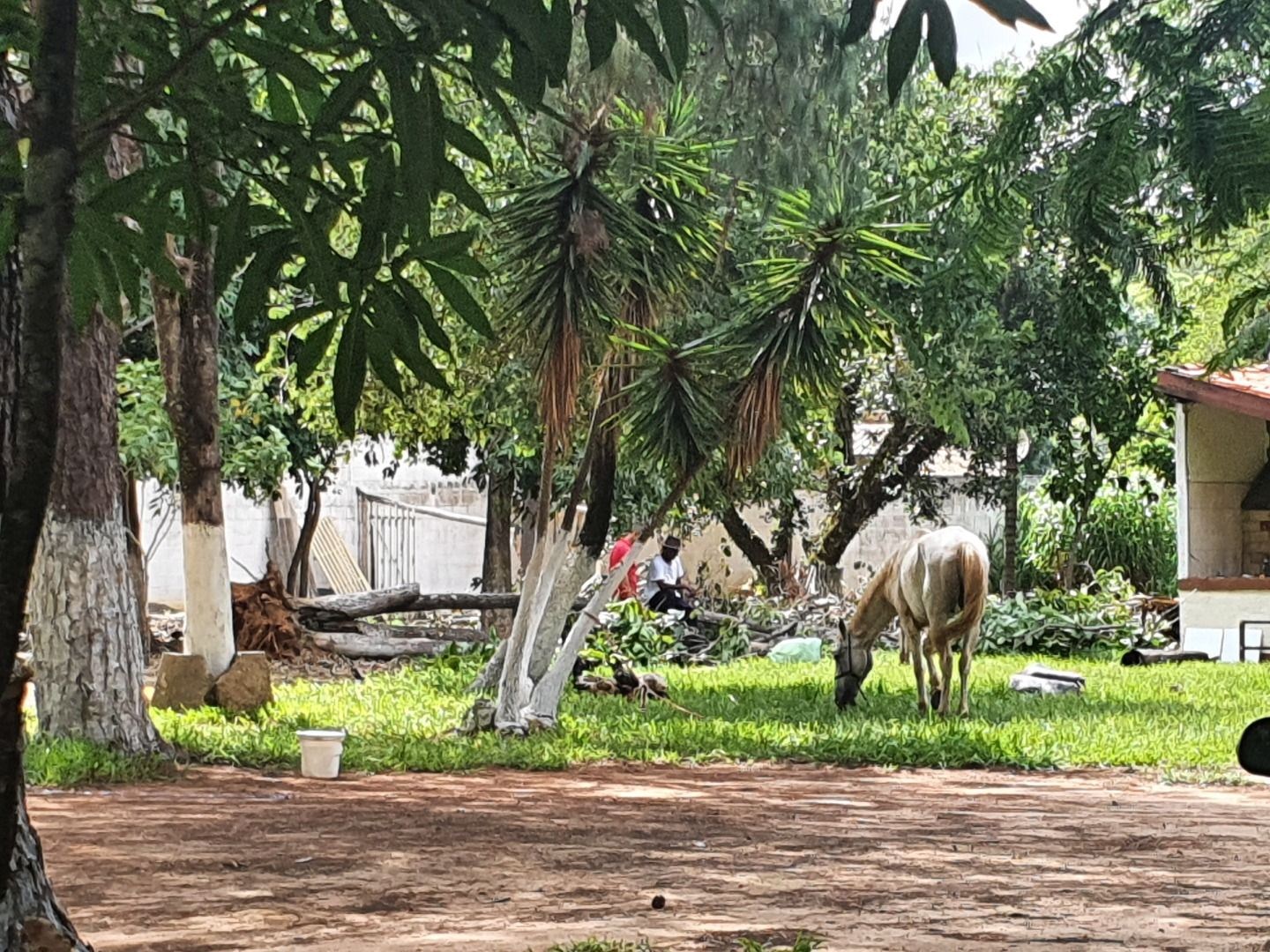 Loteamento e Condomínio, 1 hectares - Foto 22