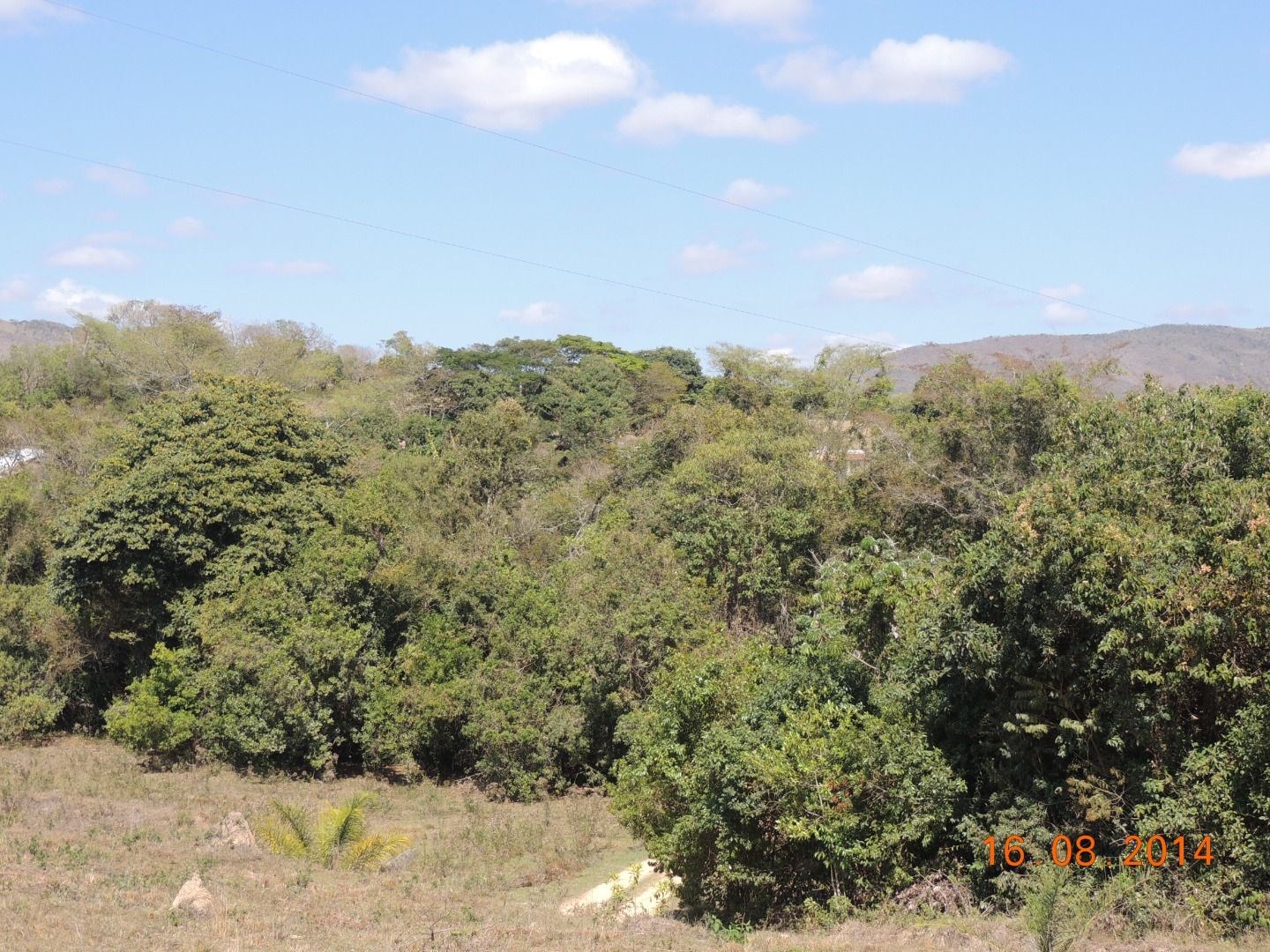 Fazenda, 28 hectares - Foto 10