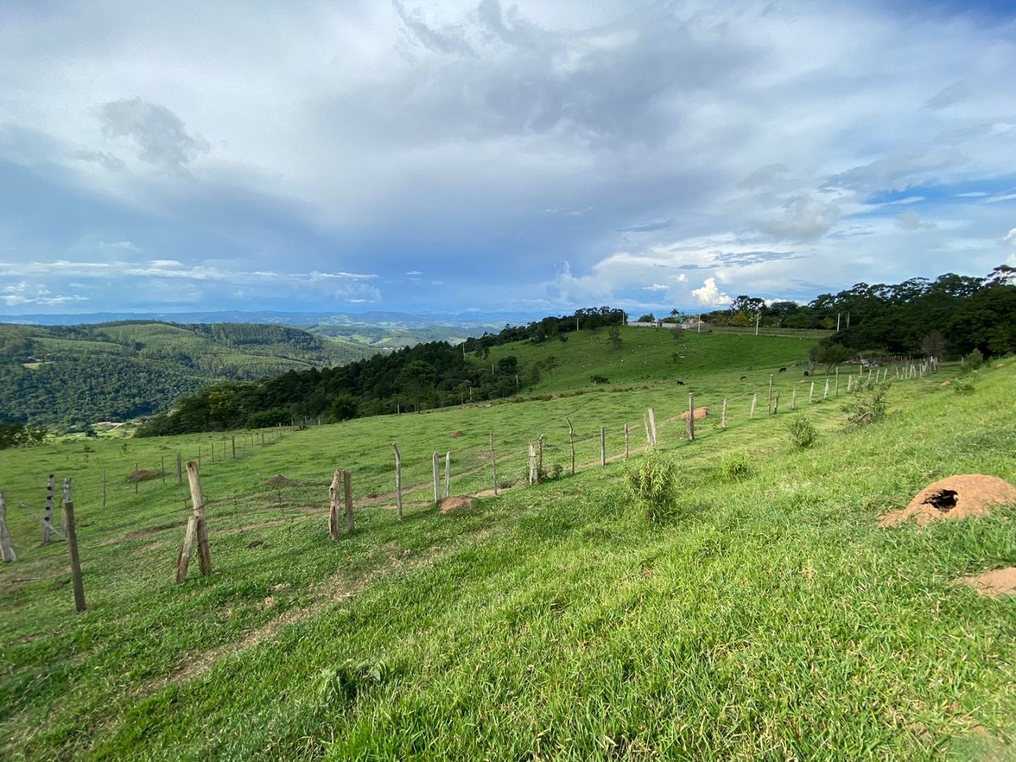 Fazenda, 3 hectares - Foto 15