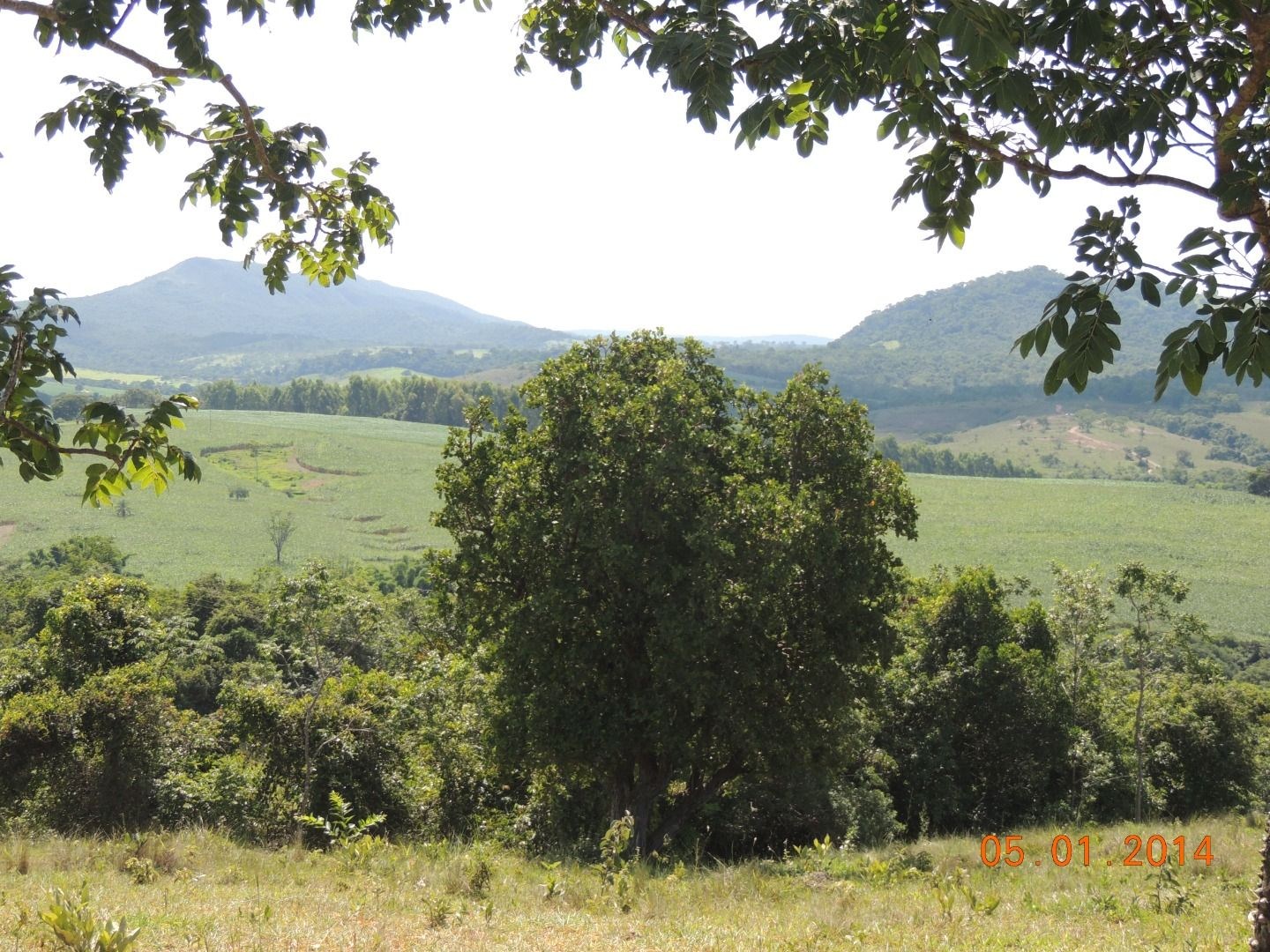 Fazenda, 28 hectares - Foto 6