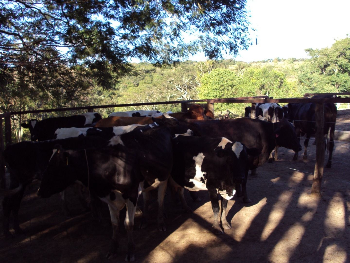 Fazenda, 28 hectares - Foto 68