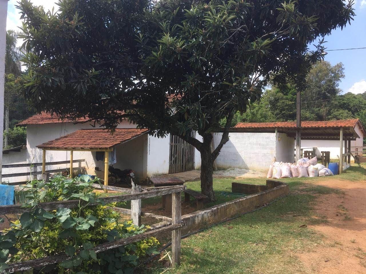 Fazenda, 7 hectares - Foto 54