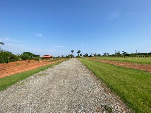 Sítio, 2 quartos, 7 hectares - Foto 24