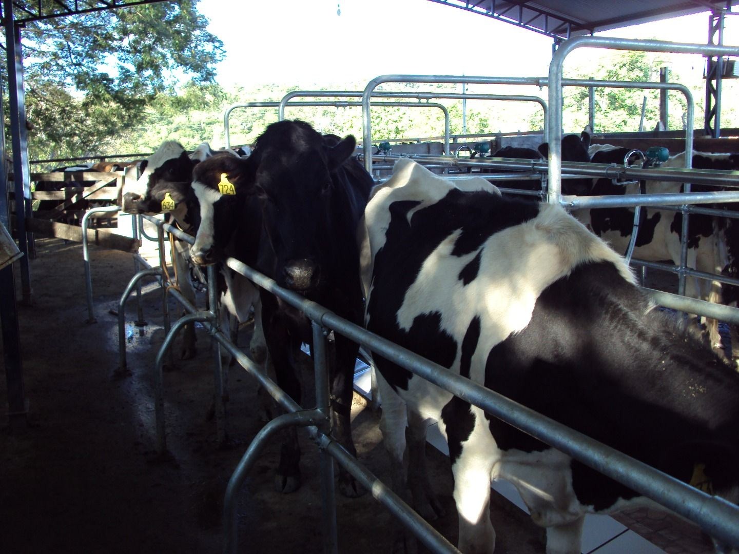 Fazenda, 28 hectares - Foto 49