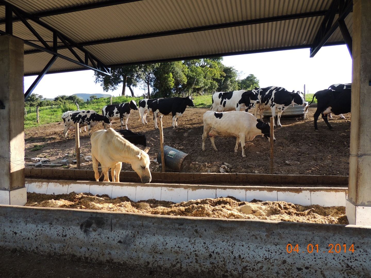 Fazenda, 28 hectares - Foto 46