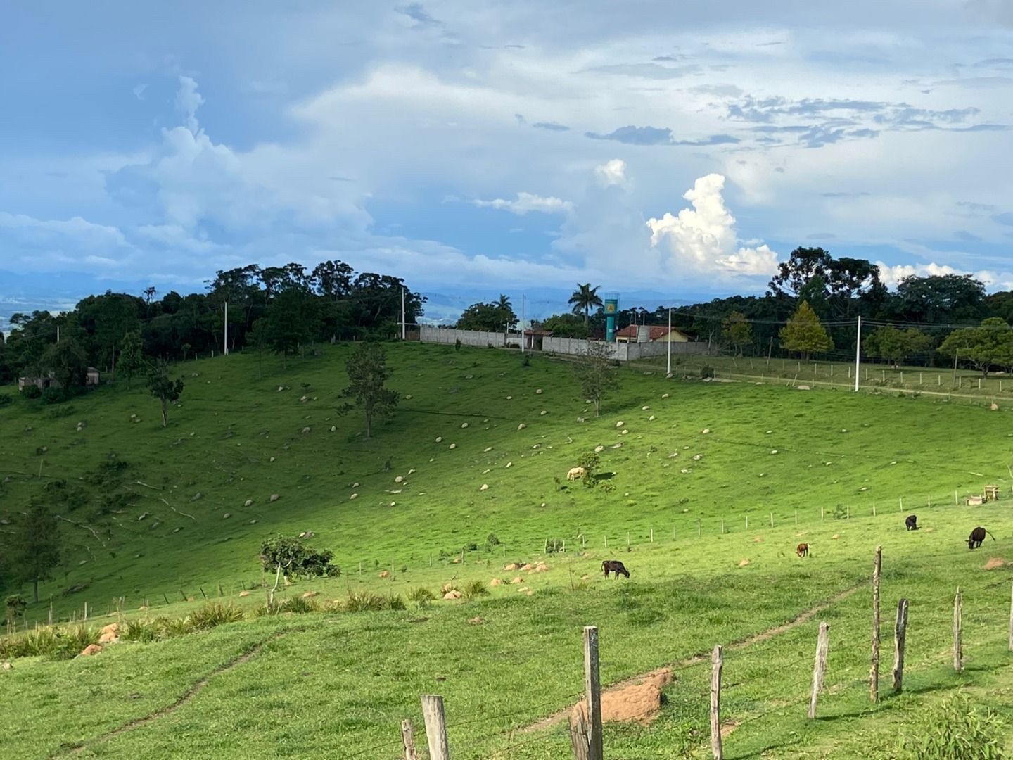Fazenda, 3 hectares - Foto 18