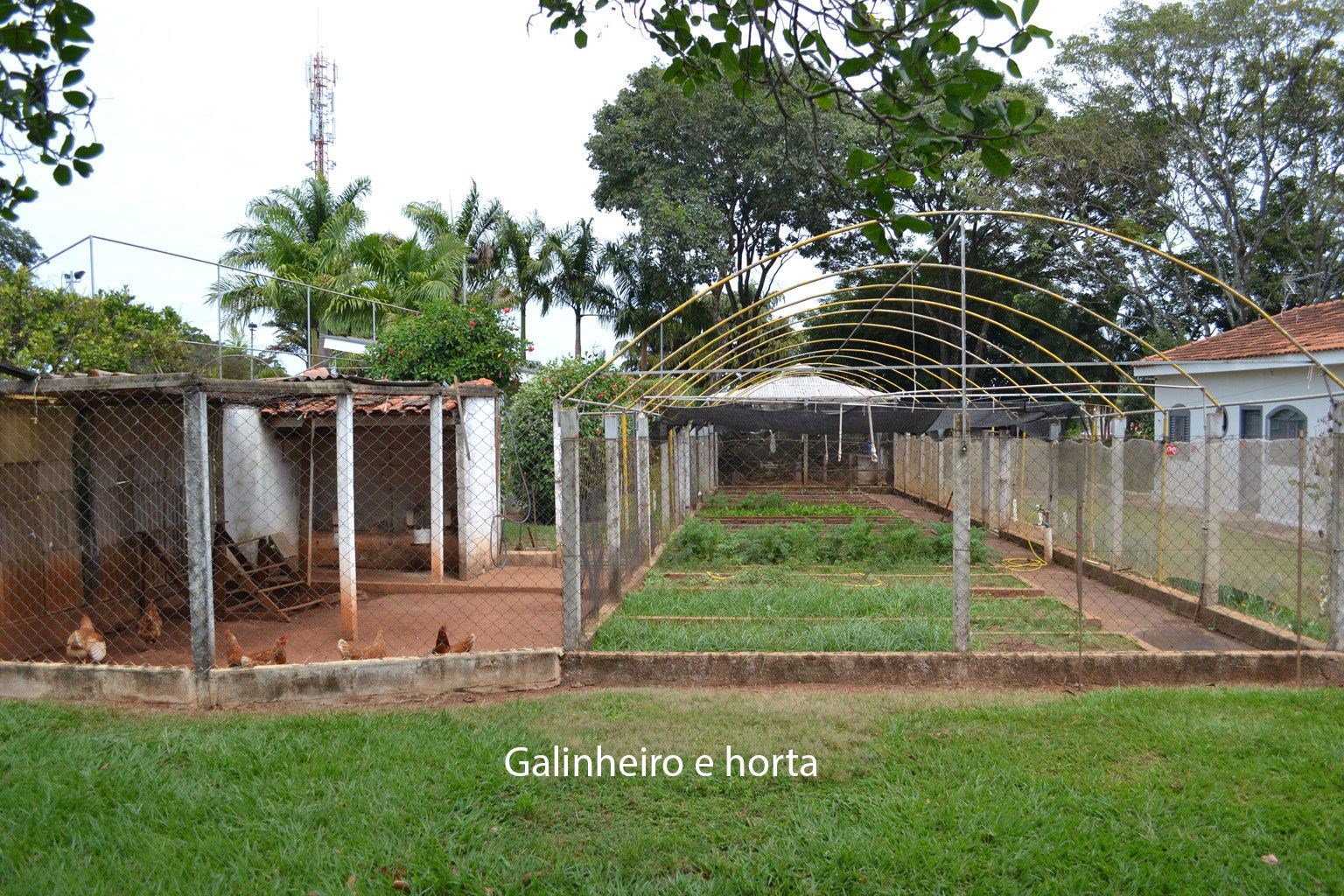 Sítio, 4 quartos, 6000 m² - Foto 15