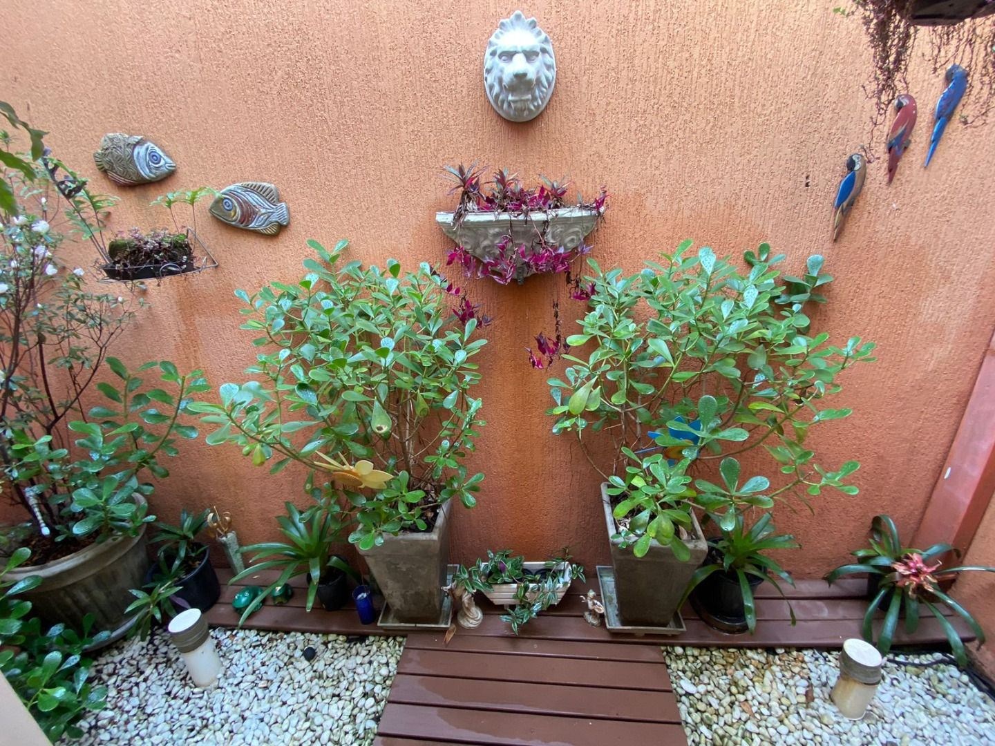 Casa, 3 quartos - Foto 13