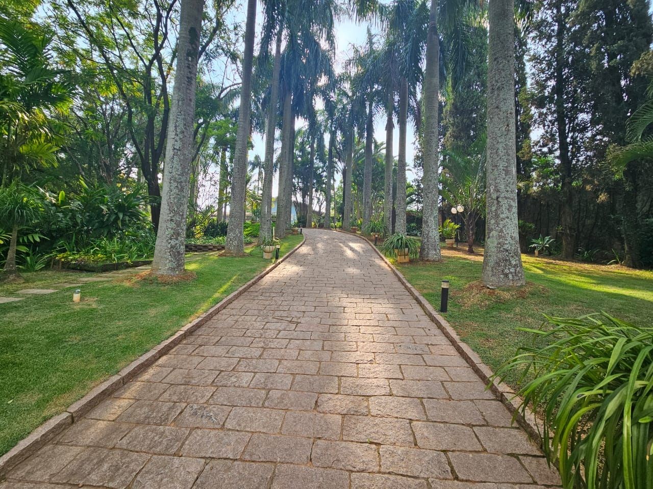 Sítio, 4 quartos, 5000 m² - Foto 5