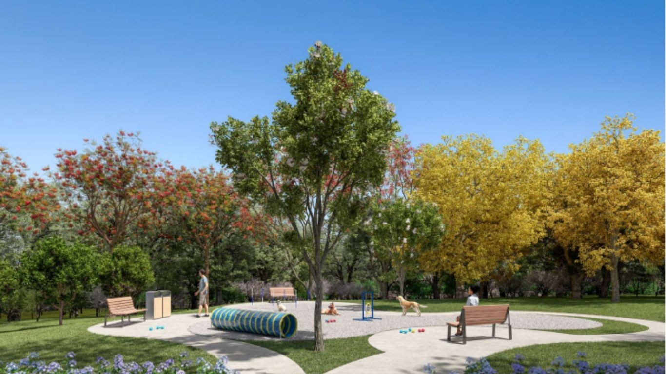 Terreno, 500 m² - Foto 17