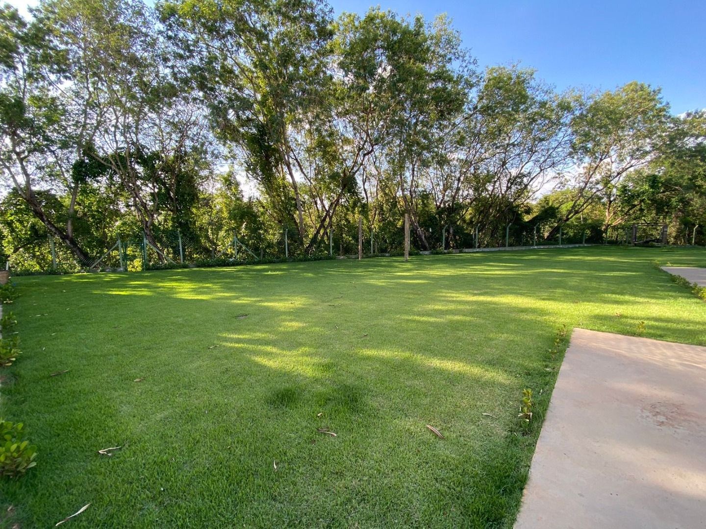 Casa, 8 quartos - Foto 47