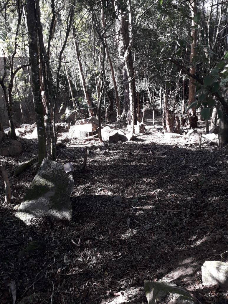 Terreno, 1000 m² - Foto 7