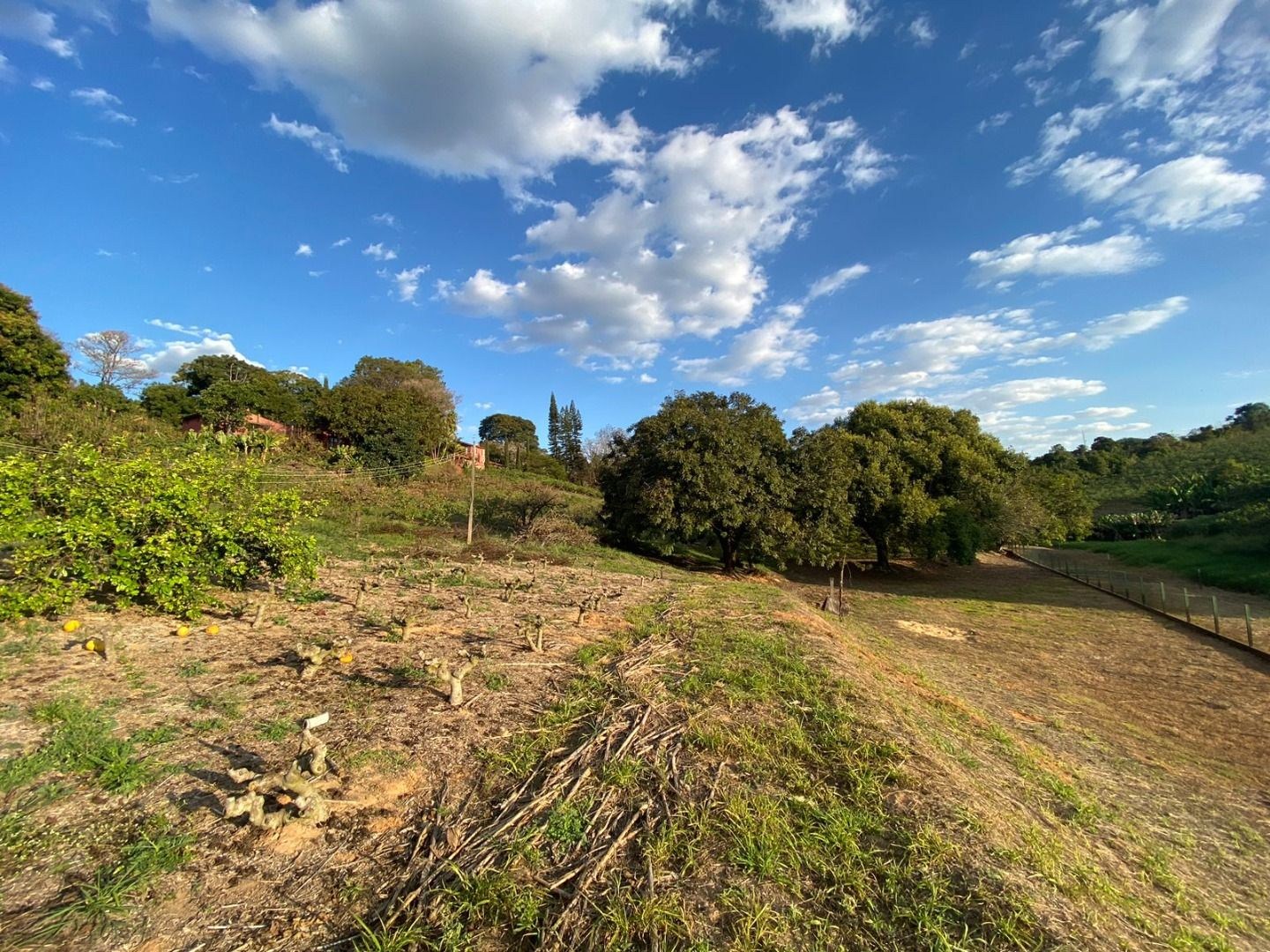 Sítio, 6 quartos, 2 hectares - Foto 62