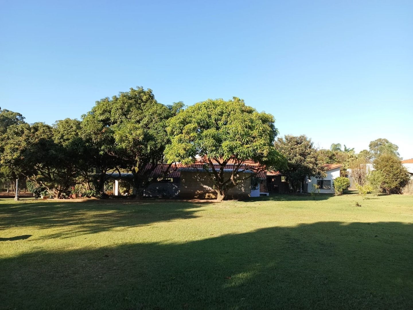 Sítio, 3 quartos, 5090 m² - Foto 12