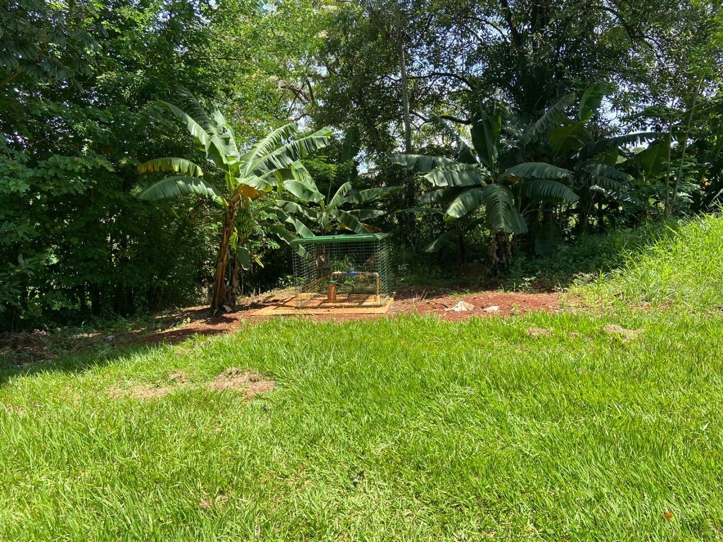 Terreno, 1000 m² - Foto 9