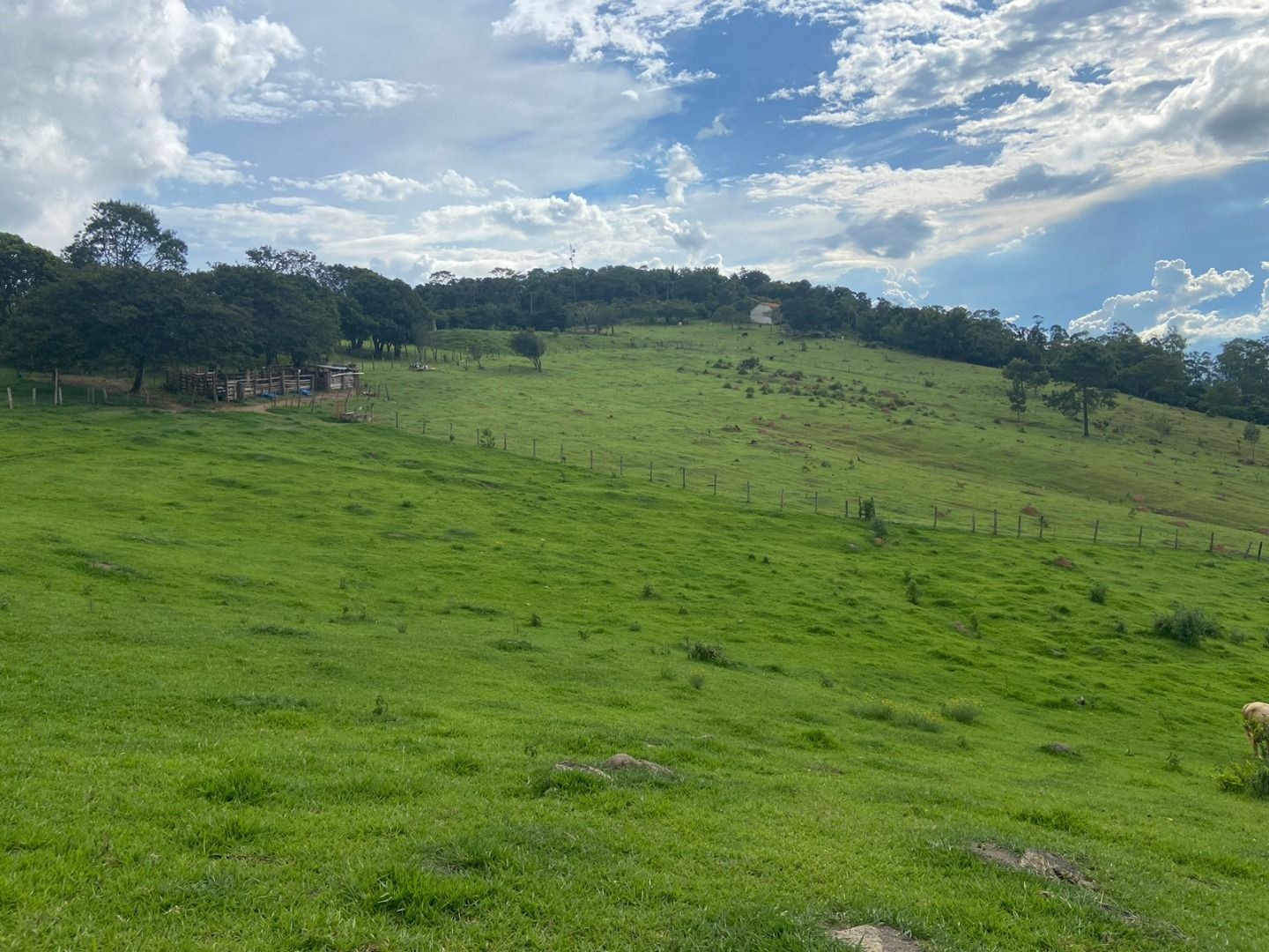 Fazenda, 3 hectares - Foto 9