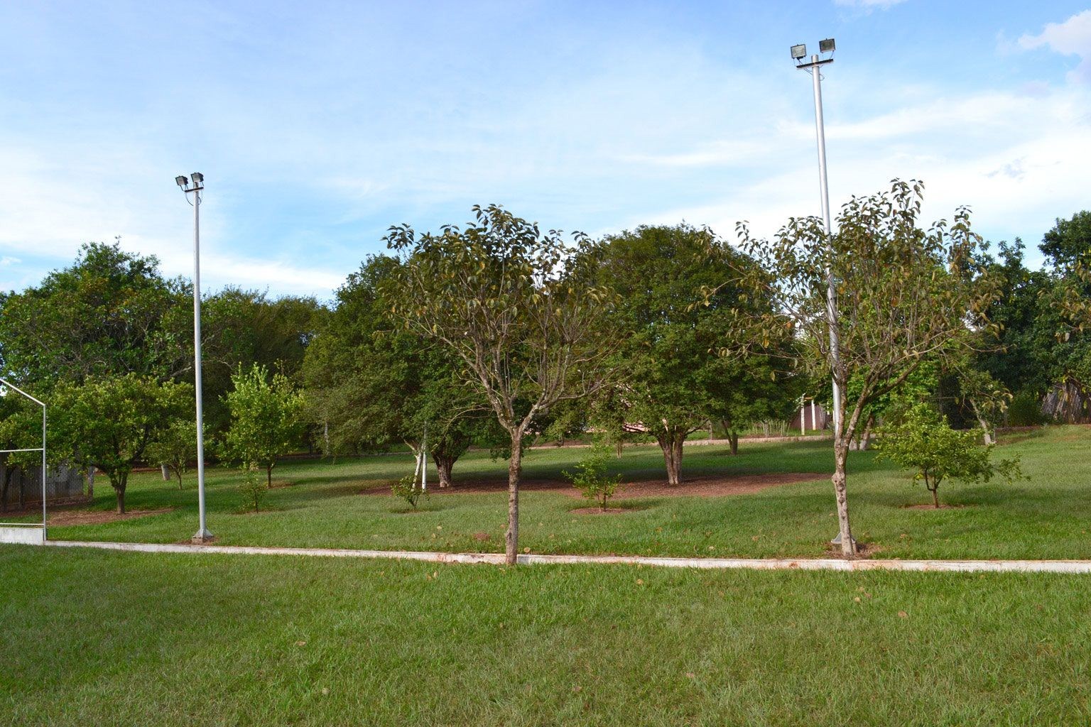 Sítio, 4 quartos, 6000 m² - Foto 14
