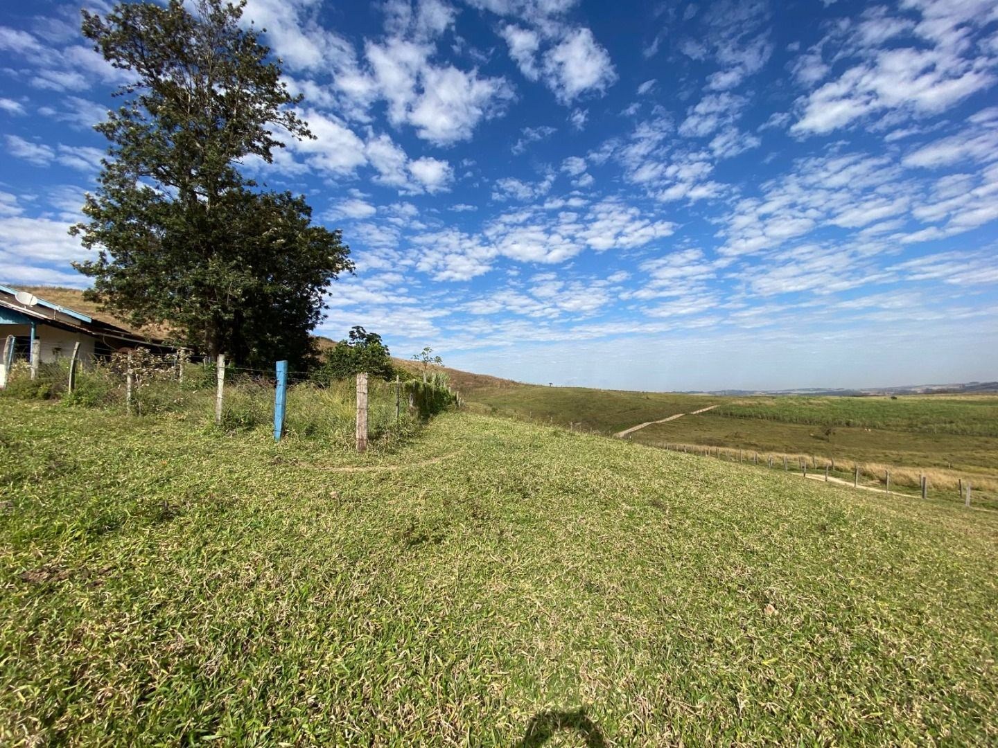 Fazenda, 404 hectares - Foto 11
