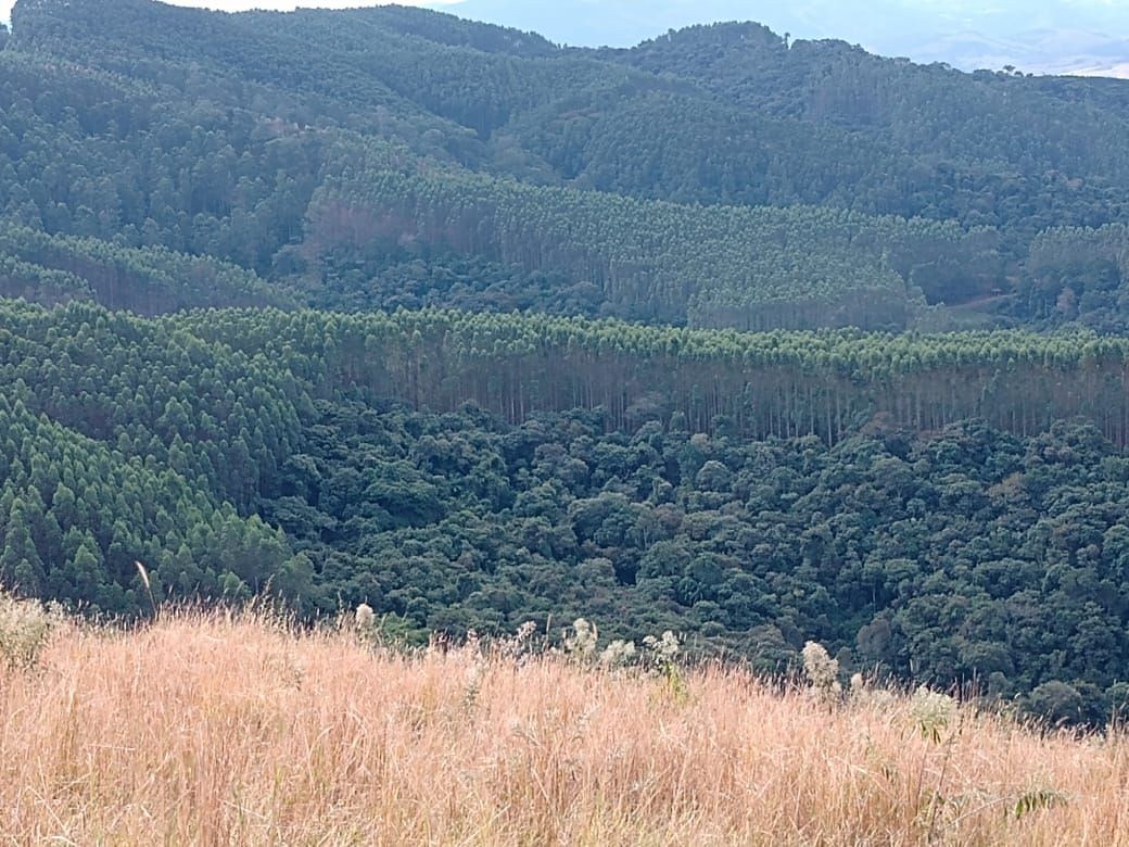 Fazenda, 122 hectares - Foto 12