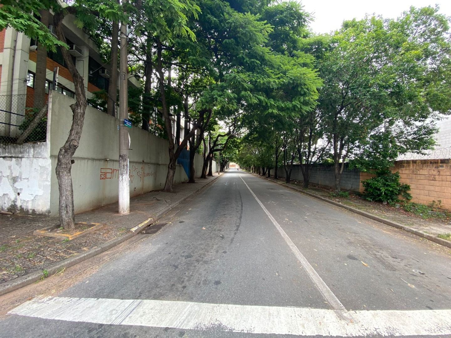 Prédio Inteiro - Foto 4
