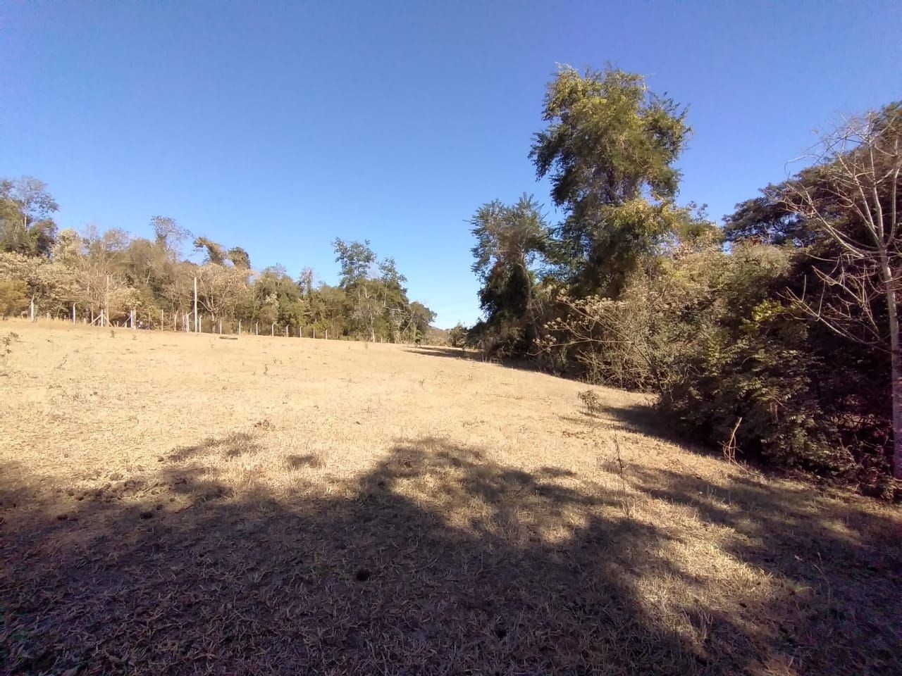 Terreno, 2 hectares - Foto 13
