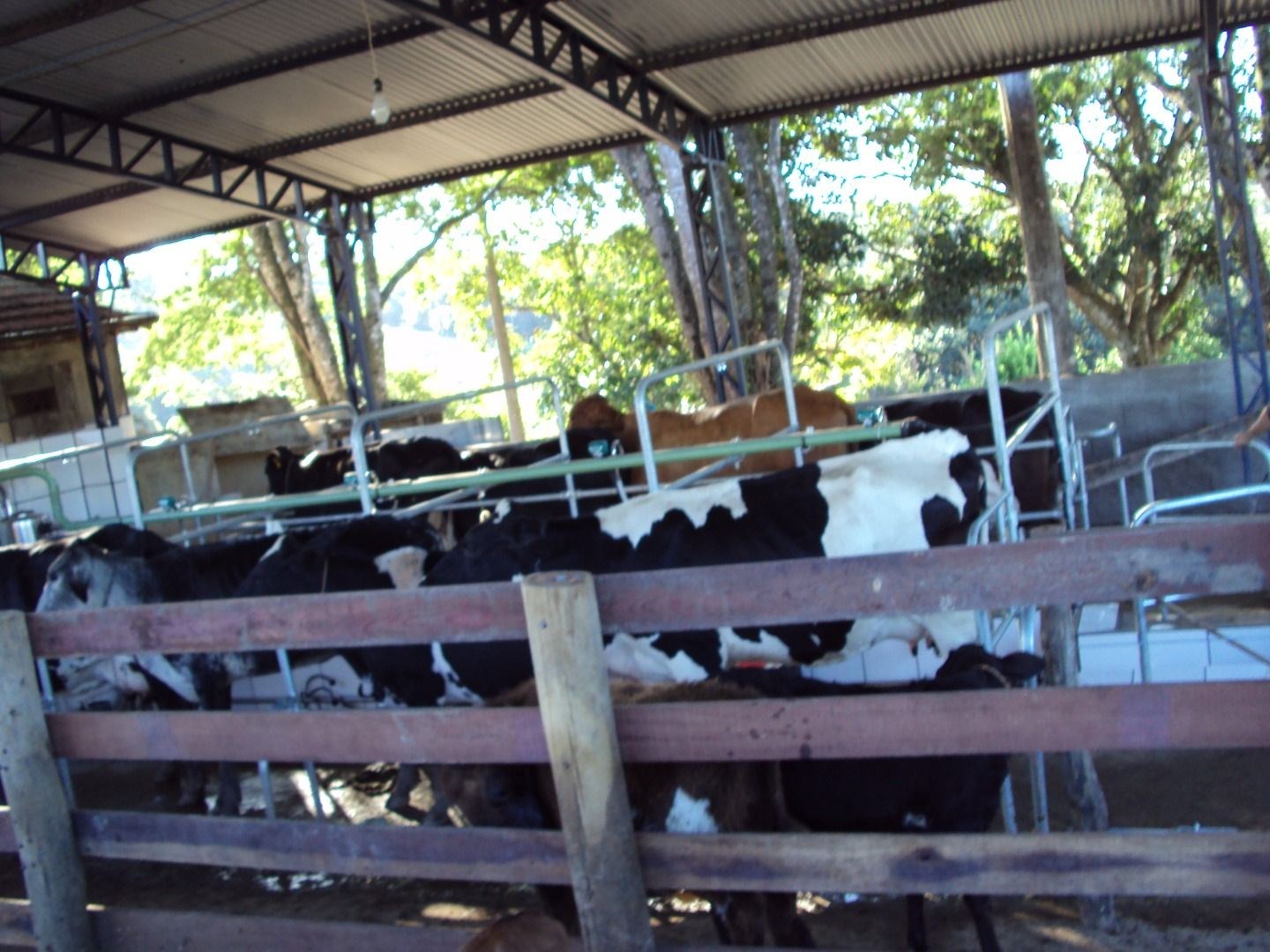 Fazenda, 28 hectares - Foto 63