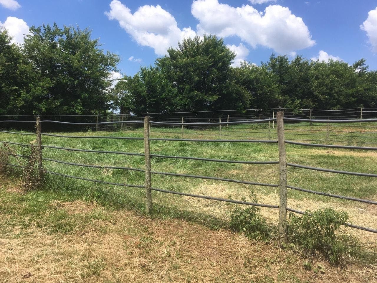Fazenda, 7 hectares - Foto 29