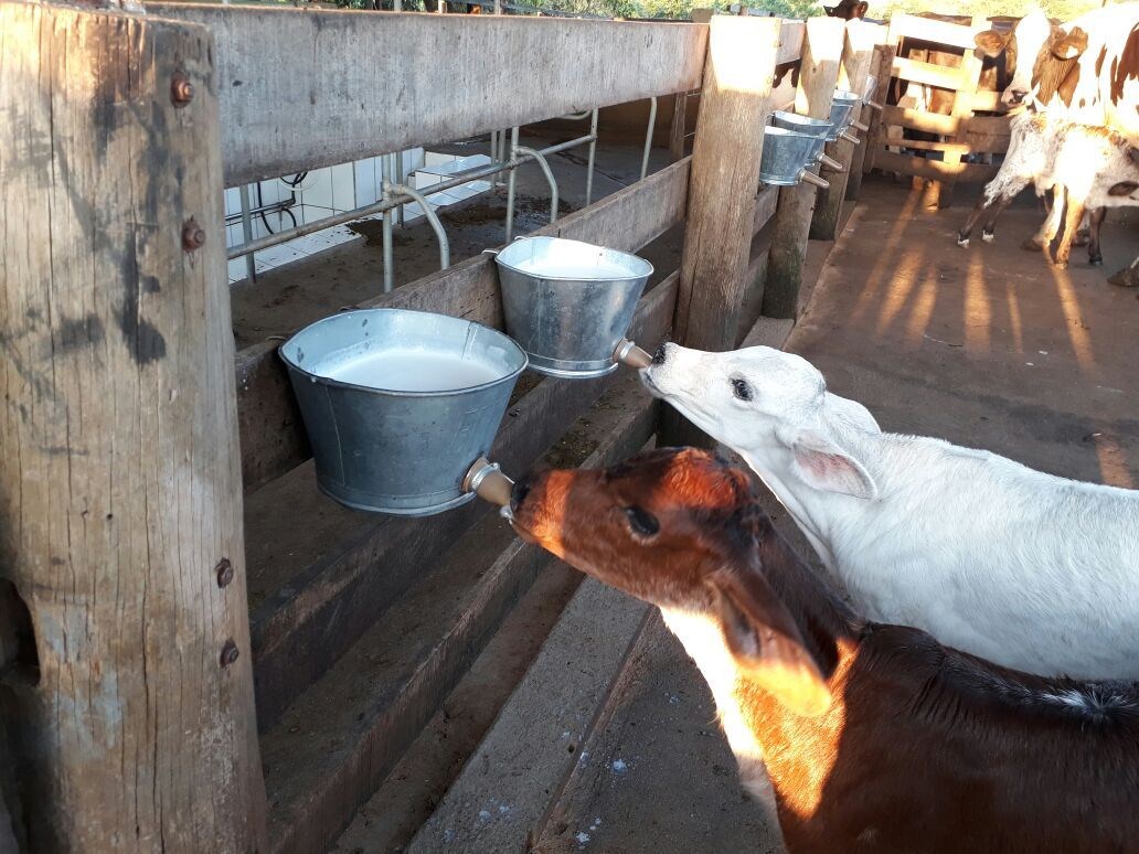 Fazenda, 28 hectares - Foto 89