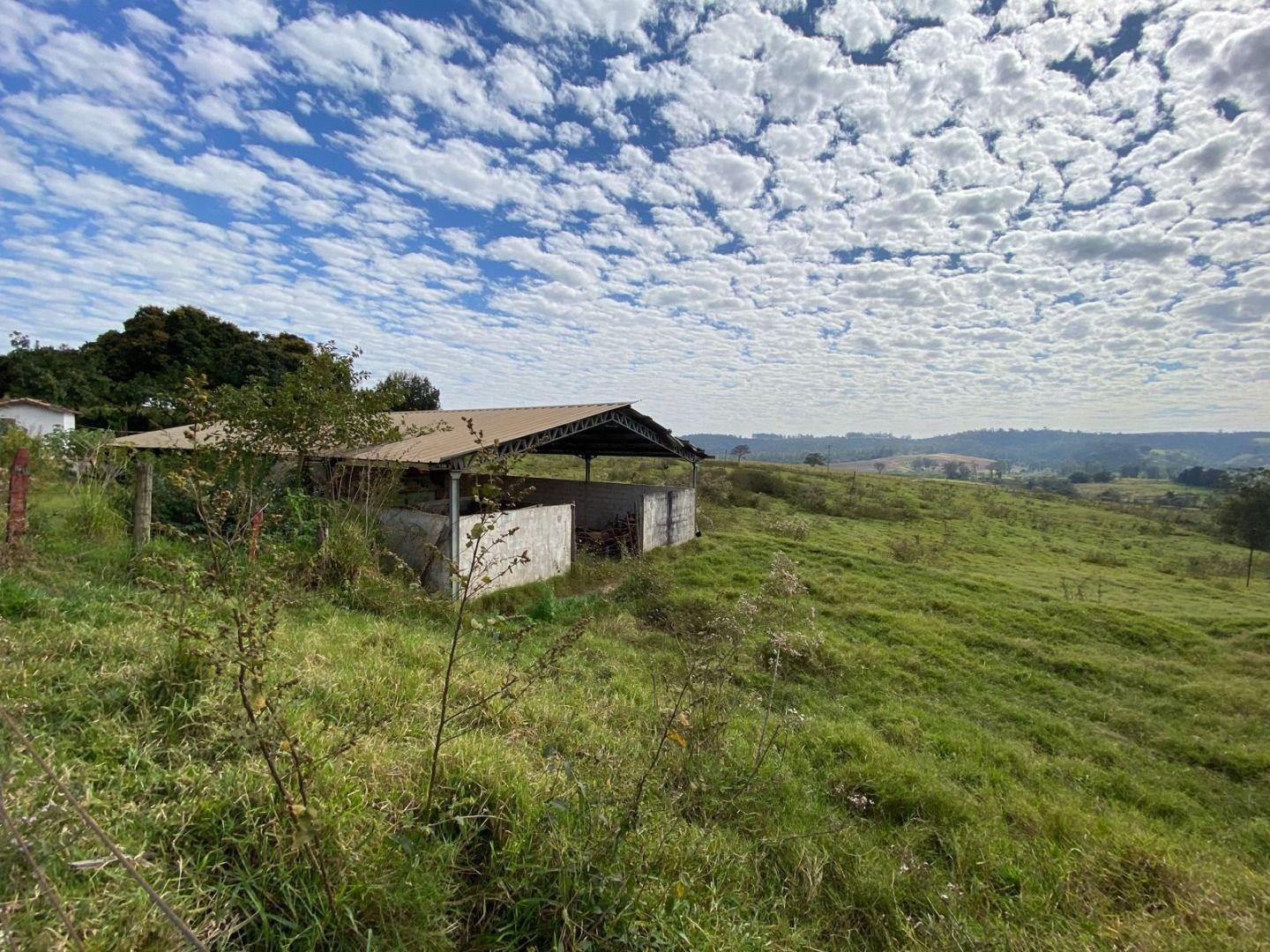 Fazenda, 404 hectares - Foto 16