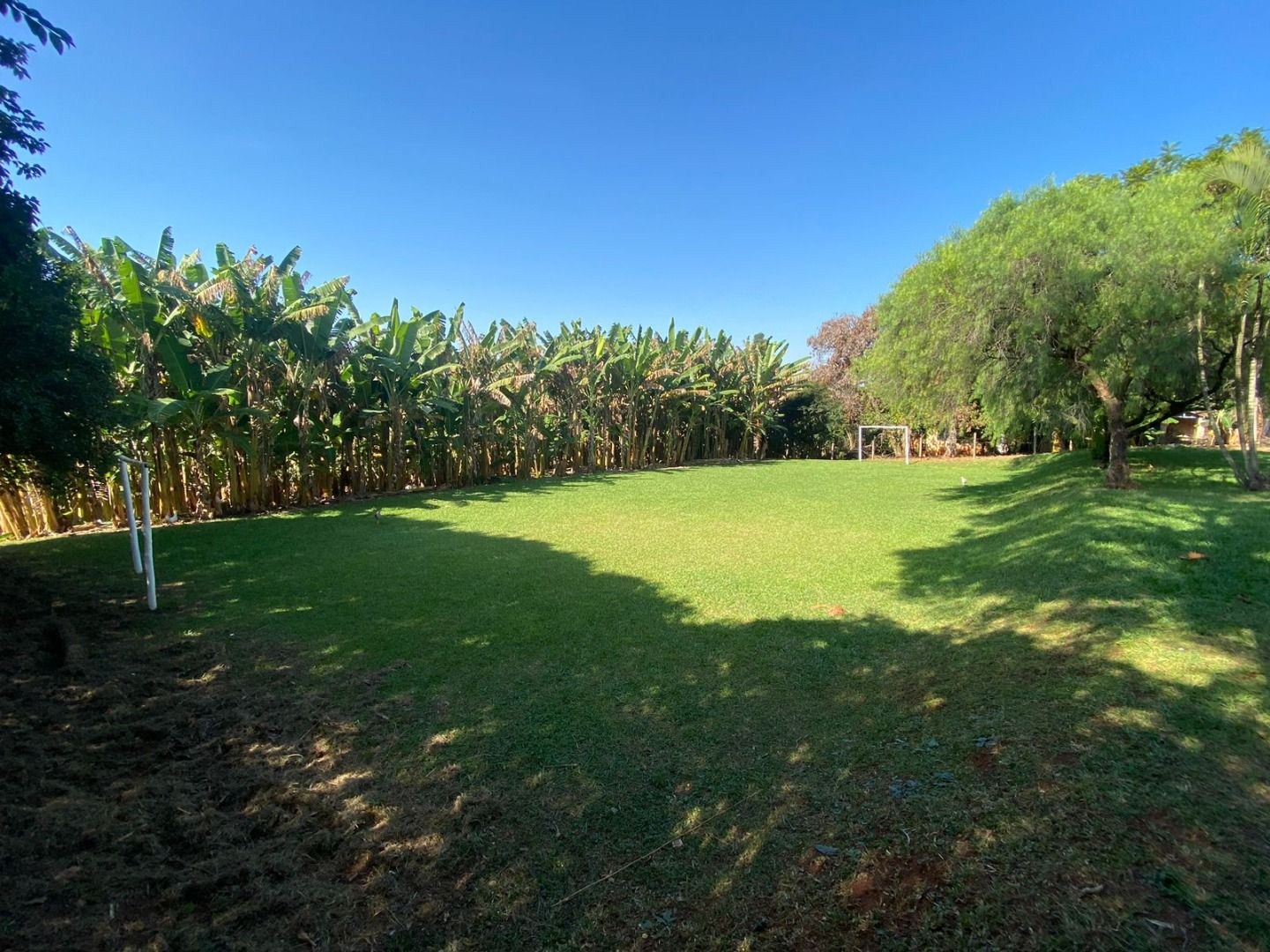 Sítio, 4 quartos, 10000 m² - Foto 35