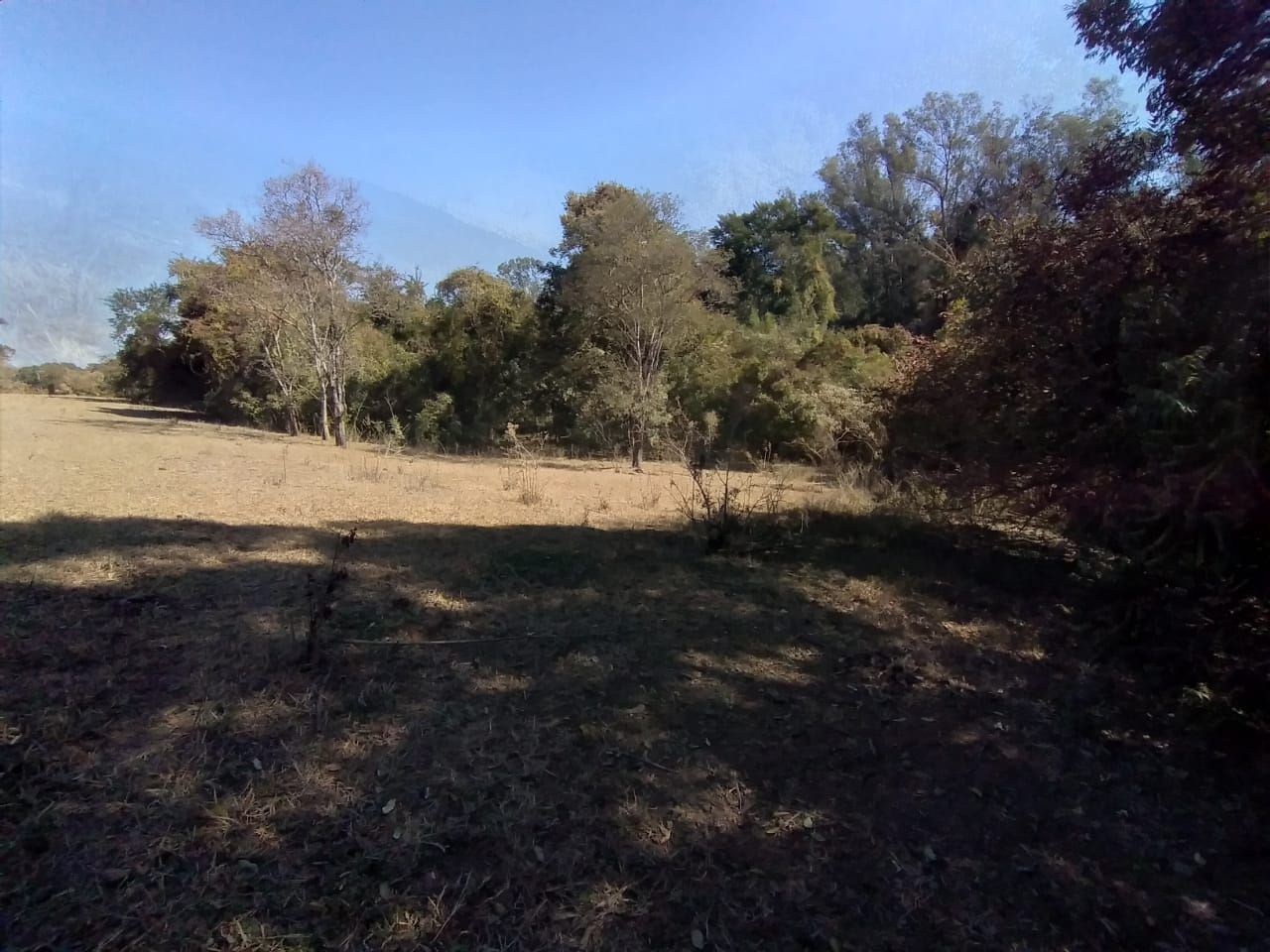 Terreno, 2 hectares - Foto 17