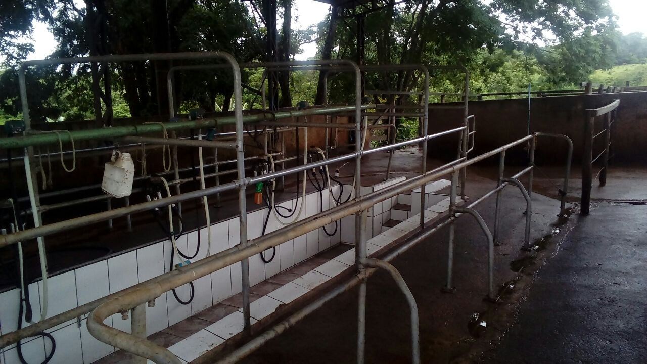Fazenda, 28 hectares - Foto 84