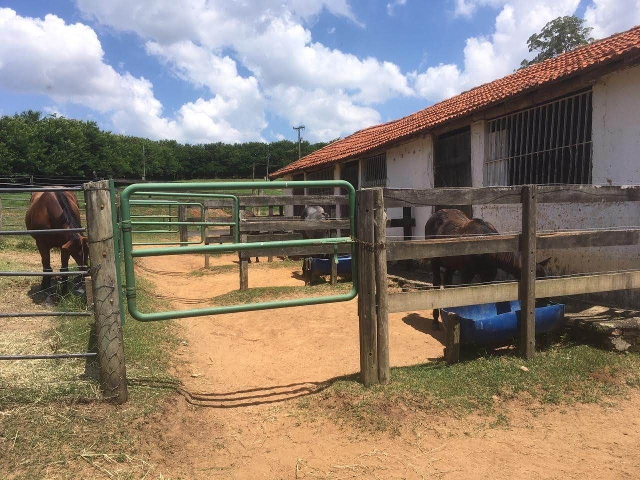 Fazenda, 7 hectares - Foto 30