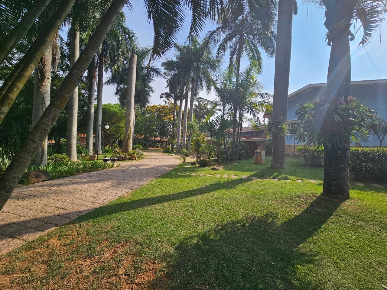 Sítio, 4 quartos, 5000 m² - Foto 3