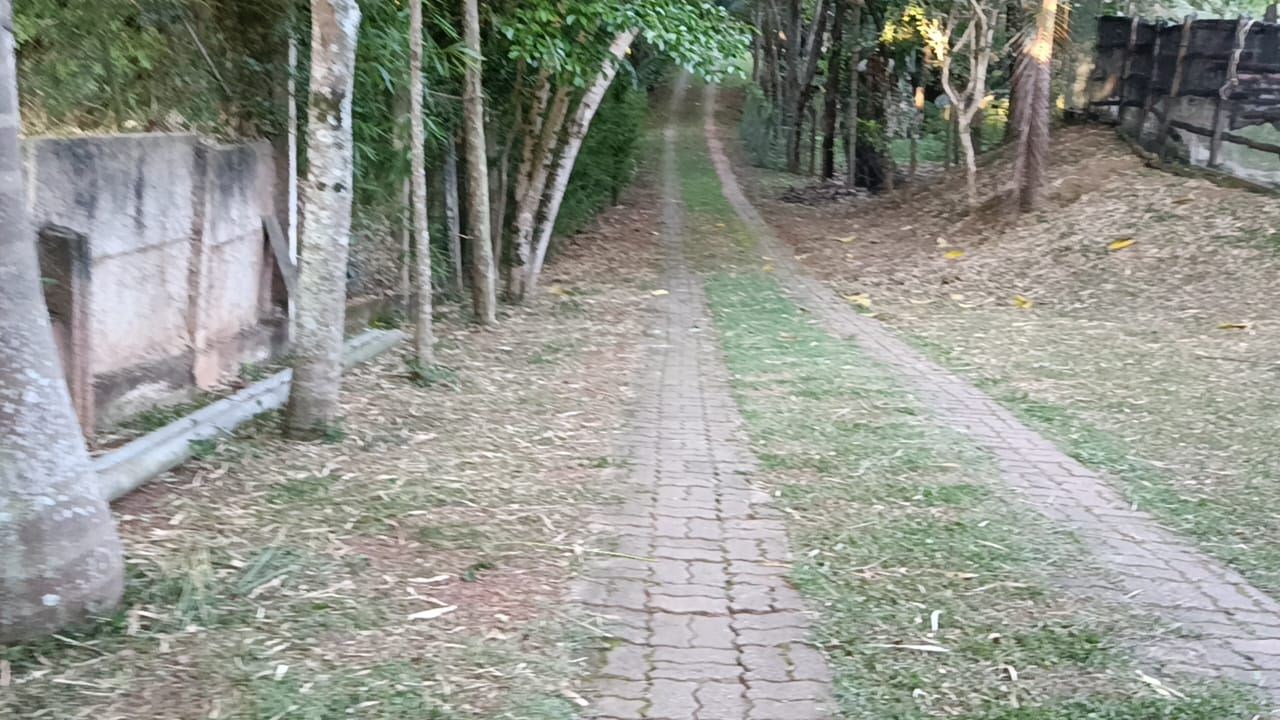 Sítio, 2 quartos, 5000 m² - Foto 19