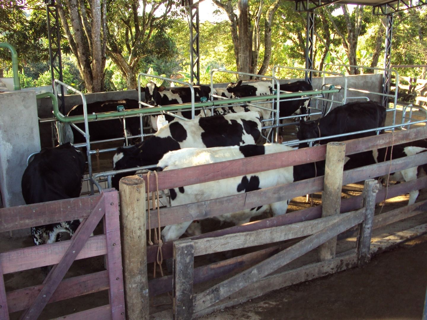 Fazenda, 28 hectares - Foto 66