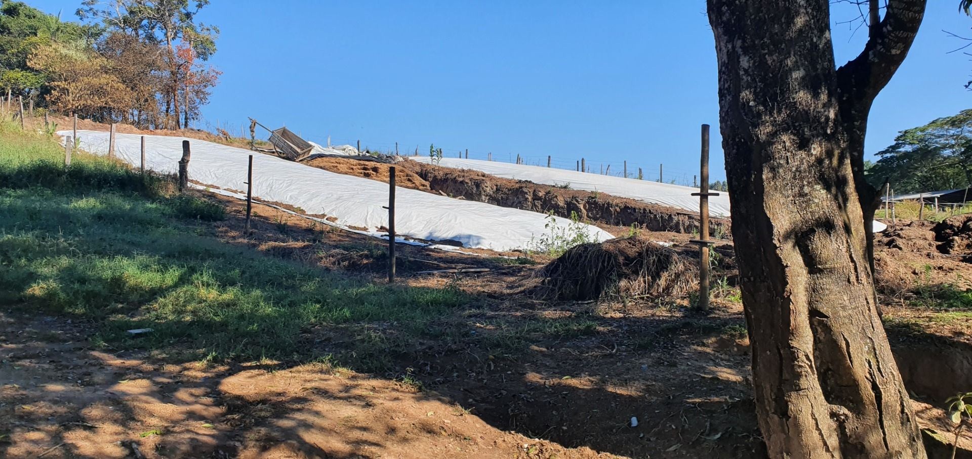 Fazenda, 28 hectares - Foto 74