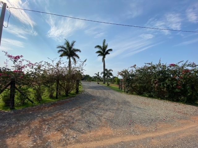 Sítio, 2 quartos, 7 hectares - Foto 1
