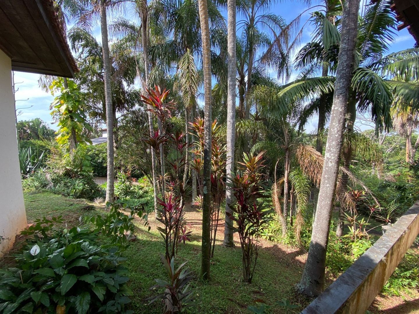 Casa, 5 quartos - Foto 49