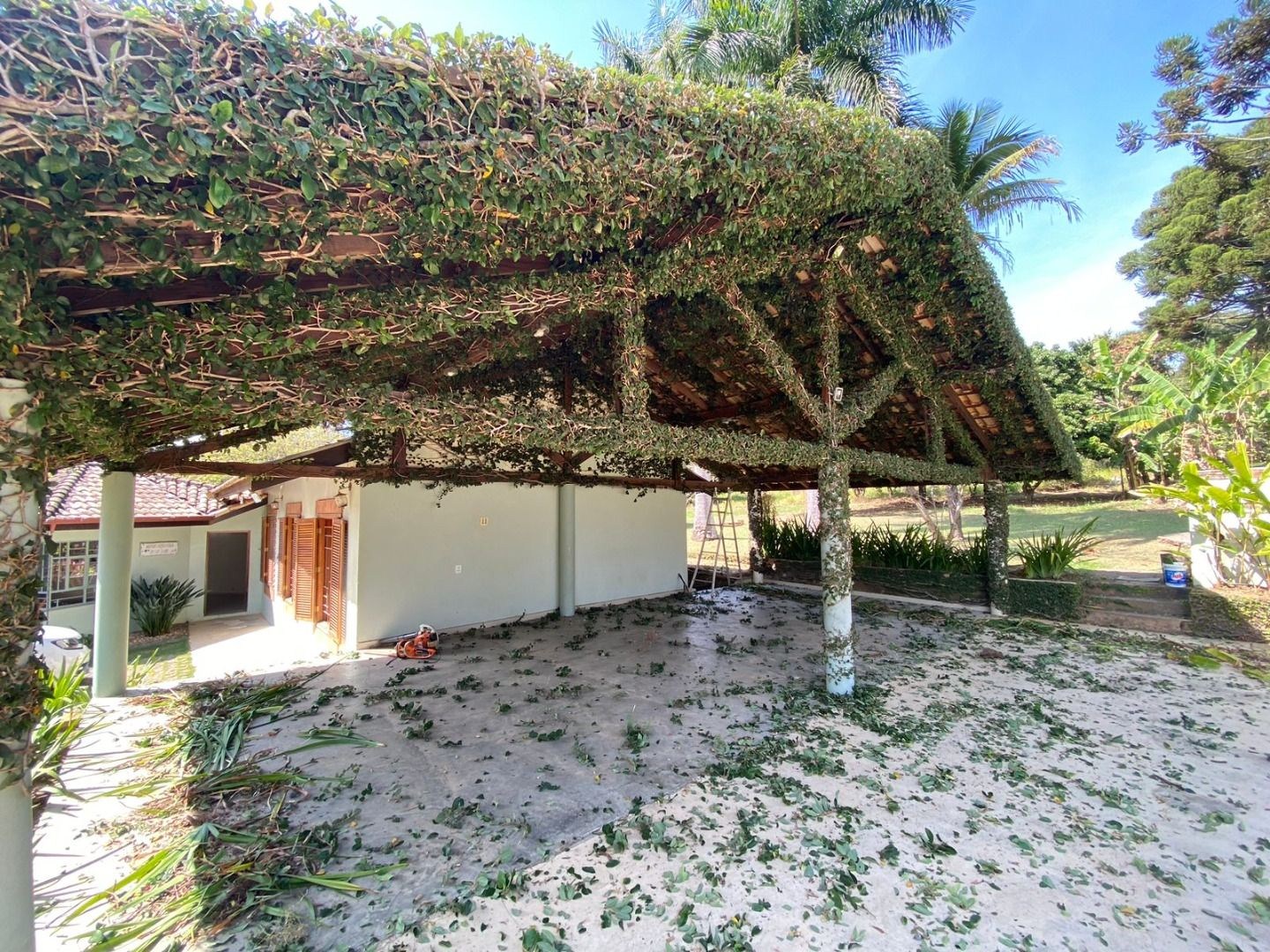 Sítio, 4 quartos, 1 hectares - Foto 40