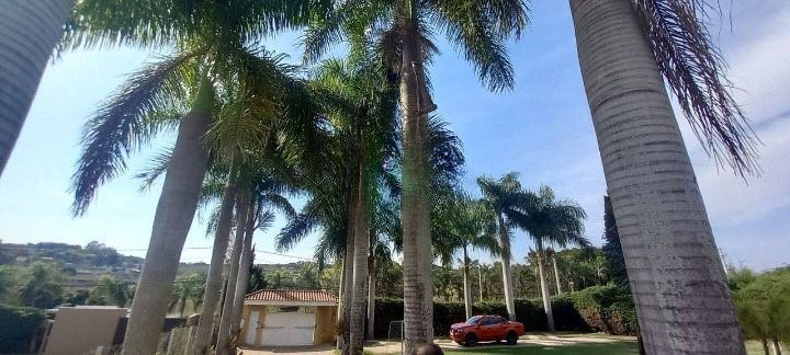 Casa, 4 quartos - Foto 6